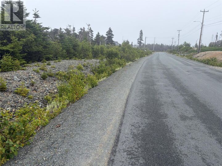 Property Photo:  54 Big Meadow Drive  NL A1K 0N1 