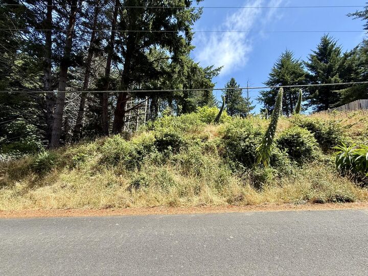 Property Photo:  117 Ridge Road  CA 95589 