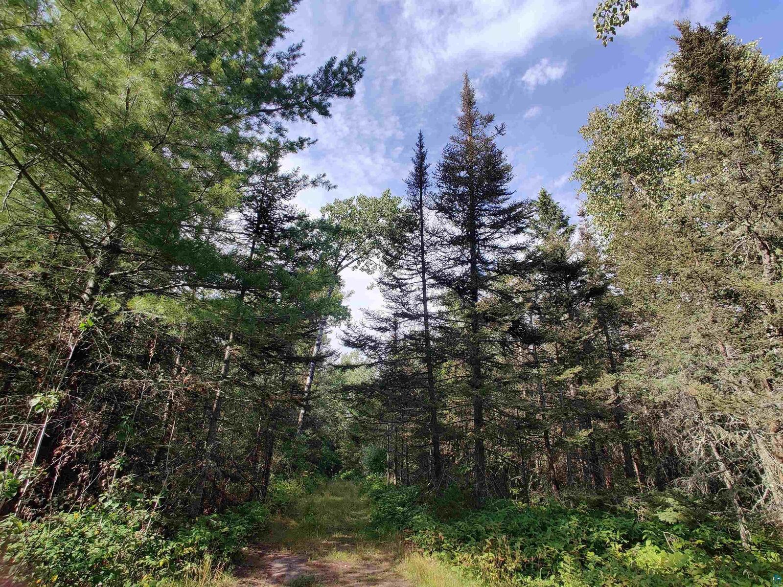 Property Photo: Xxx Gauthier Rd MN 55606