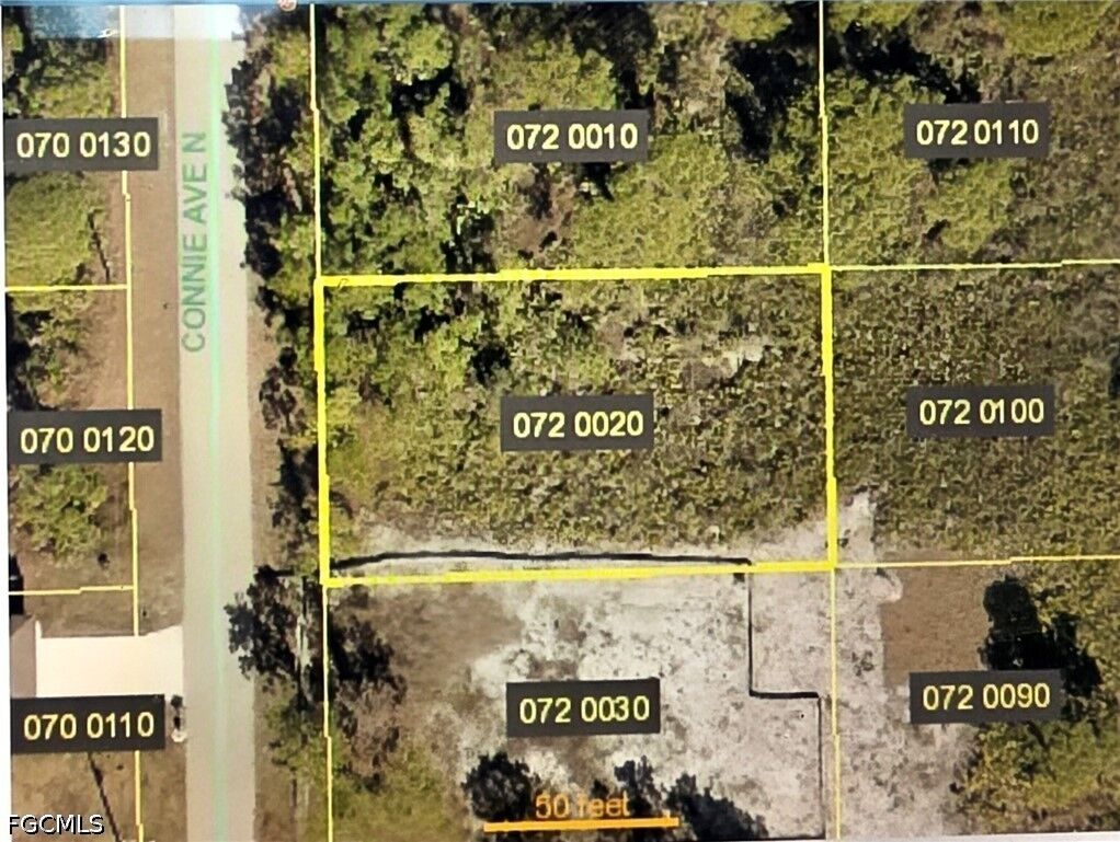 Property Photo: 2920 Connie Avenue N FL 33971