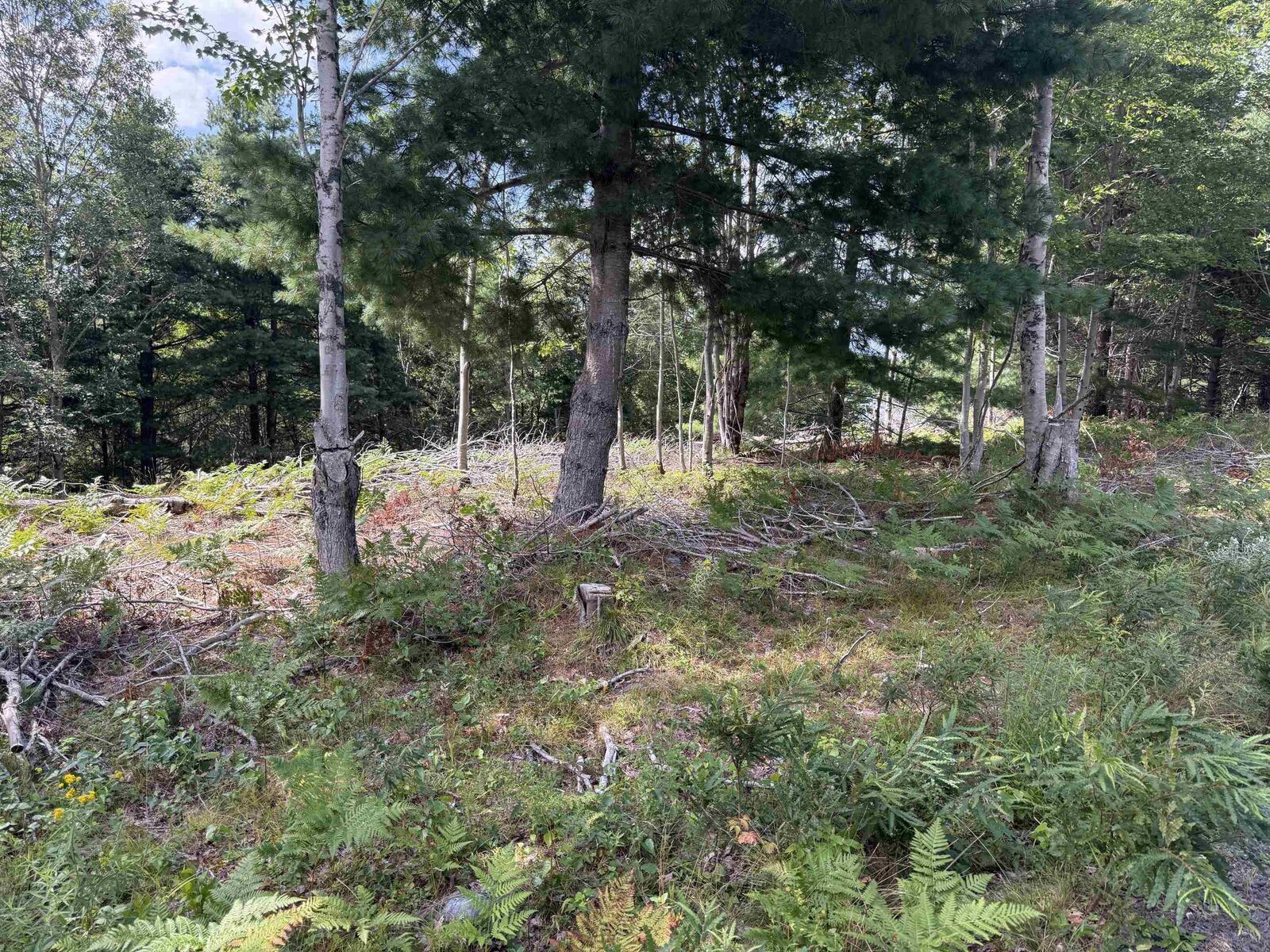 Property Photo:  Lot 109 East Clifford Road  NS B4V 1Y7 