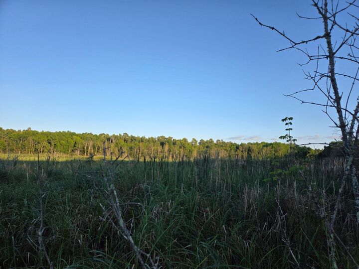 Property Photo:  Tbd Lot 3 190th Street  MN 56621 