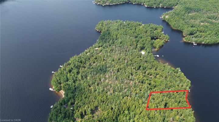Property Photo:  Blade Gold Lake Island  ON K0L 1J0 