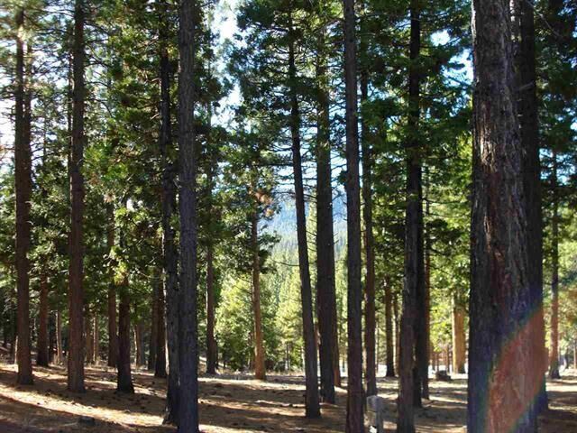 Property Photo:  269 Big Cedar Lane  CA 96122 