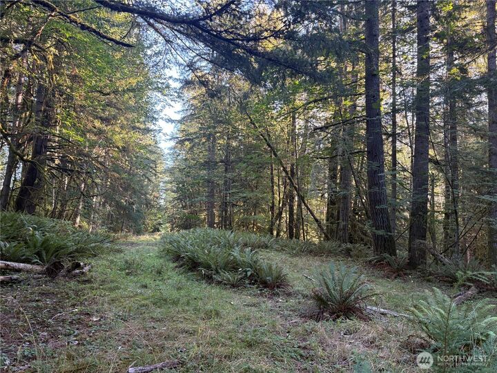 Property Photo: 1 Nka Frank Smith Road WA 98649