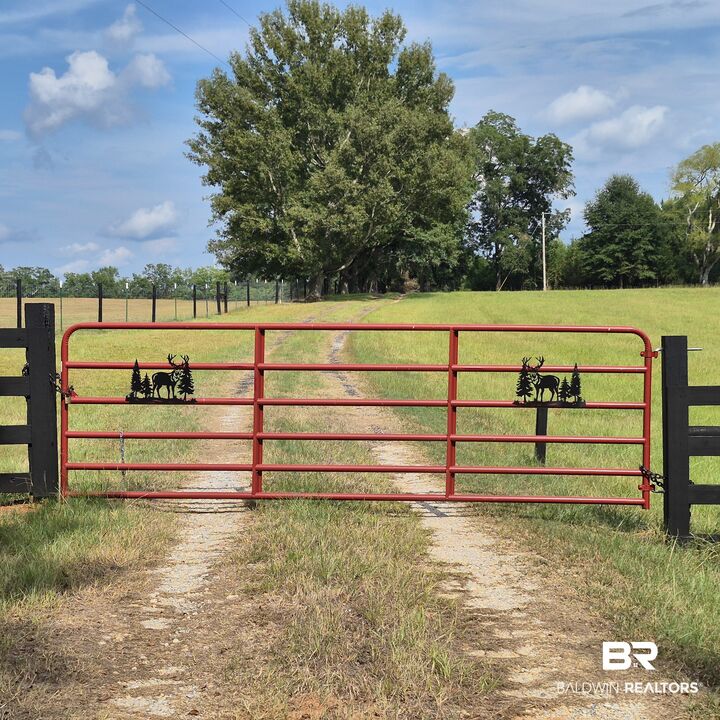Property Photo:  343 Old Sparta Road  AL 36401 