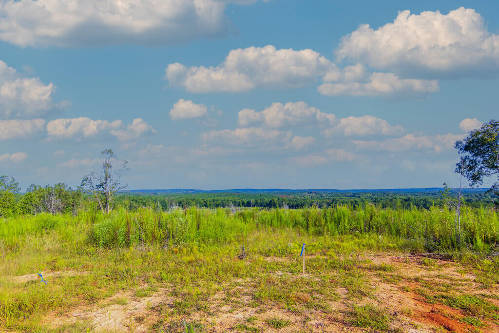 Property Photo:  Tract 2 Highway 0036  GA 31836 