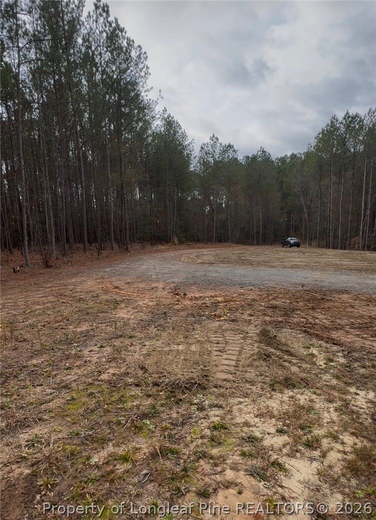 Property Photo: 183 Thistlecone Lane NC 27330