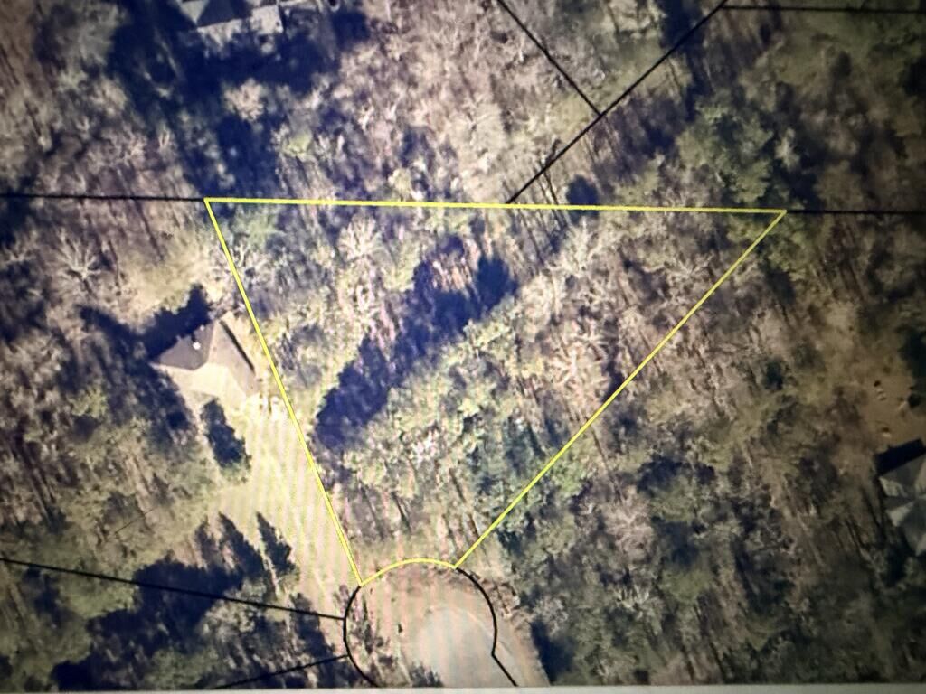 Property Photo: Lot 22 Kaitlyn Court GA 31811