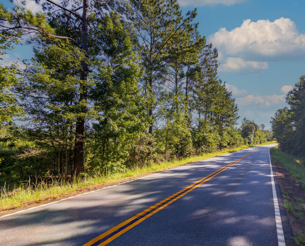 Property Photo:  Tract 4 Highway 0036  GA 31836 