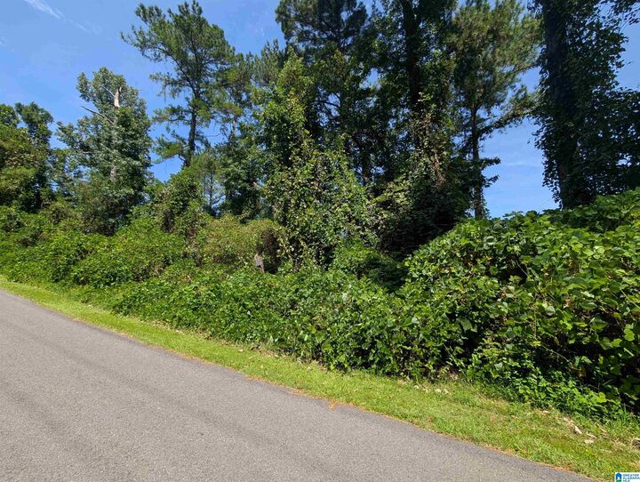 Property Photo:  0 Hilltop Road 0  AL 36277 