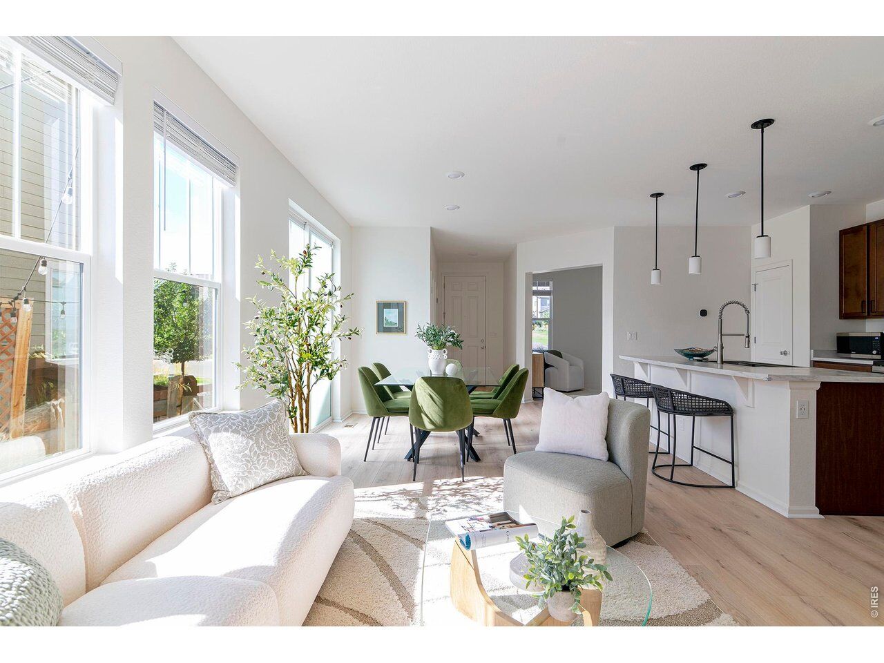 Property Photo: 348 Rodden Dr CO 80516