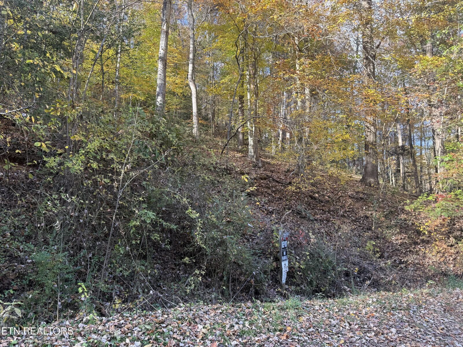 Property Photo:  Trentham Way  TN 37863 