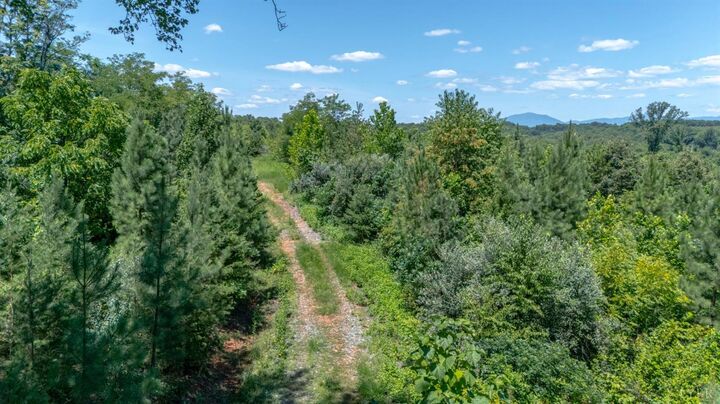 Property Photo: 0 Goggin Ford Road VA 24523