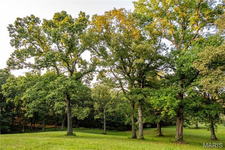 Property Photo:  0 Highway D - Tract 6B (11.4+/- Acres)  MO 63344 