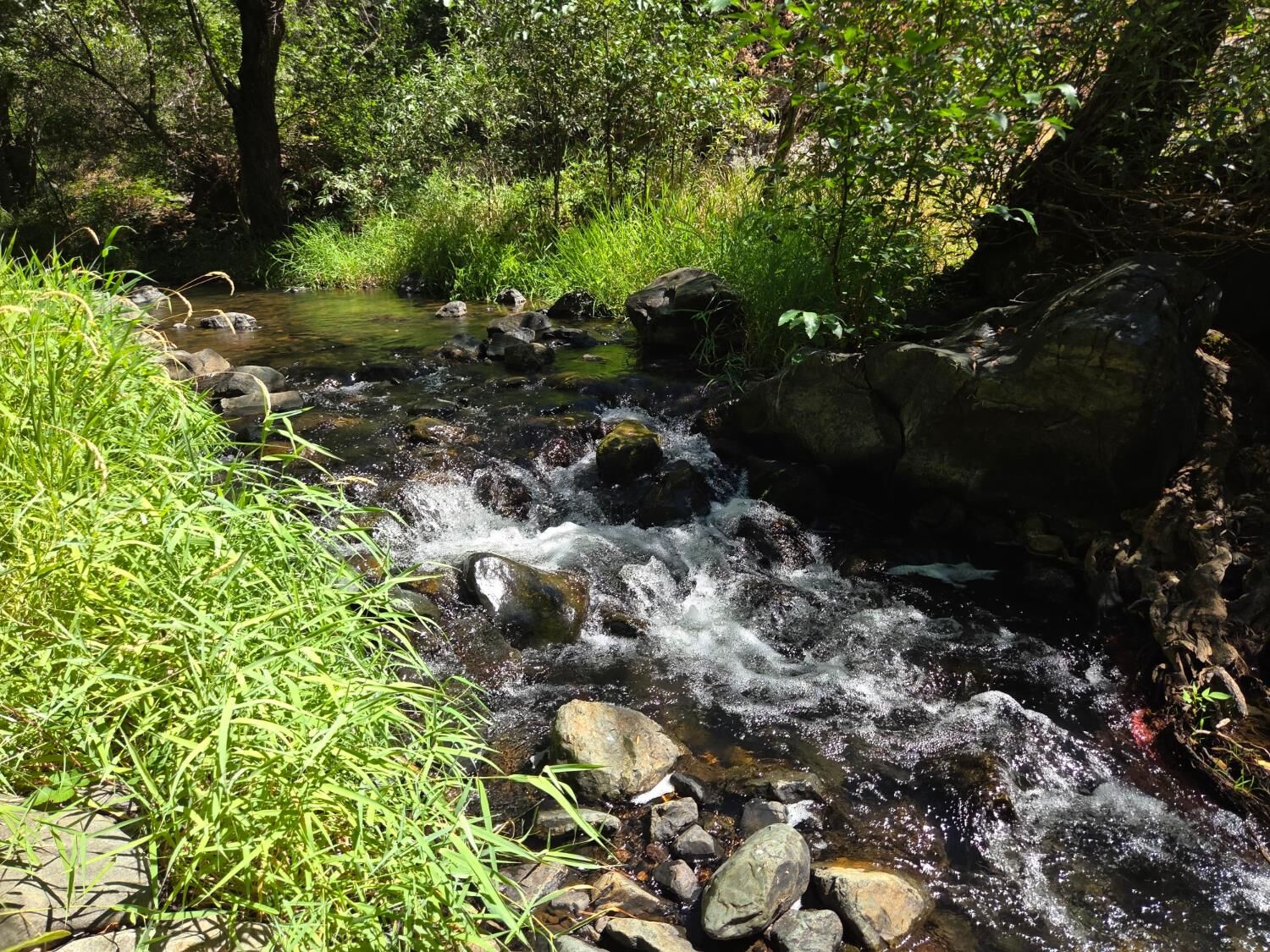 Property Photo:  17378 Scopar Road  CA 95949 