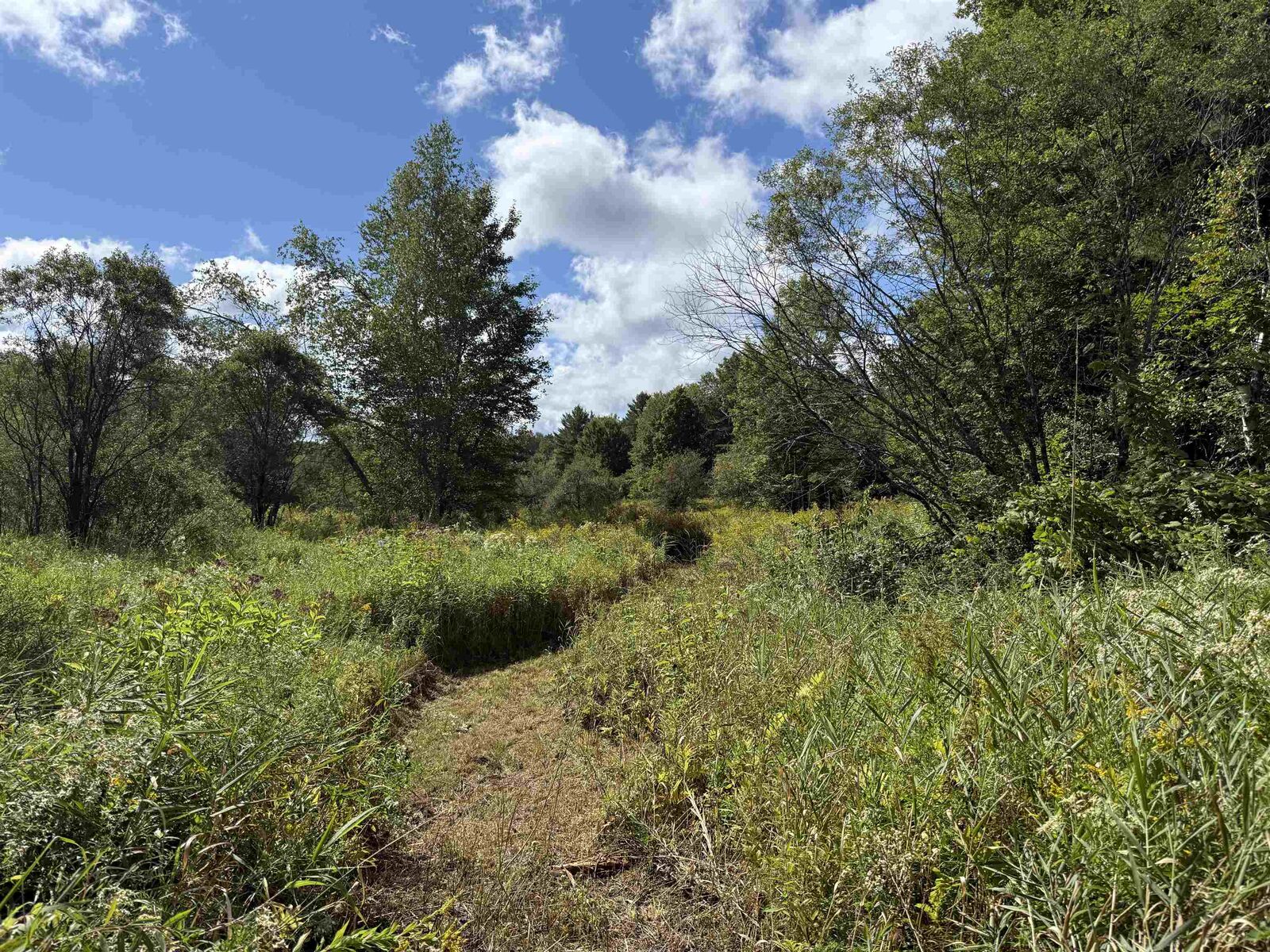Property Photo:  00 Merrill Road  VT 05656 