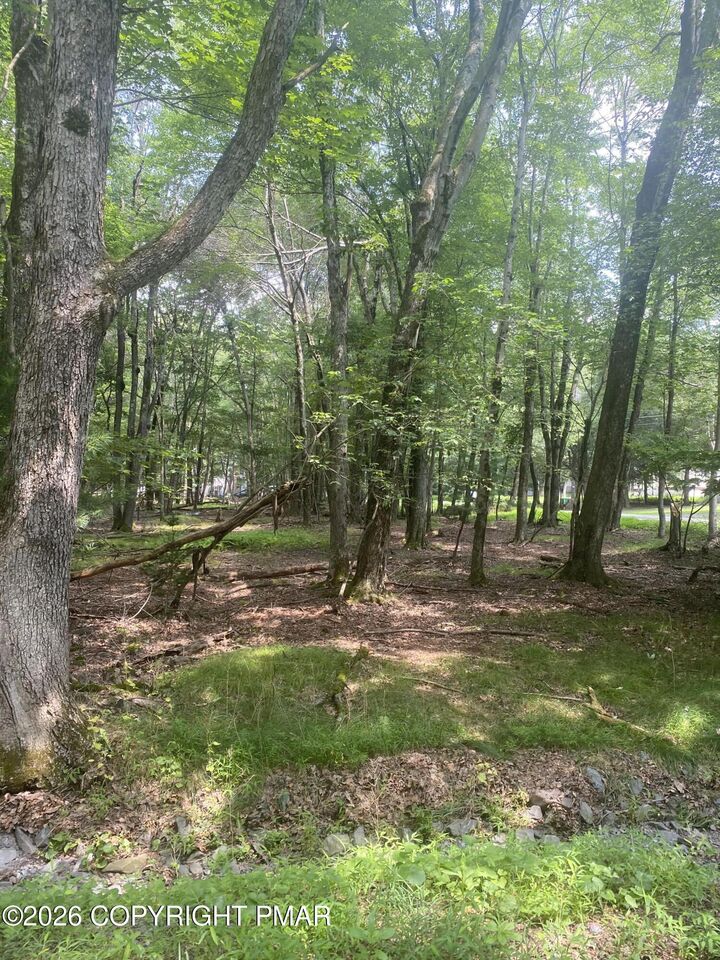 Property Photo: 391 / Scenic Drive PA 18210