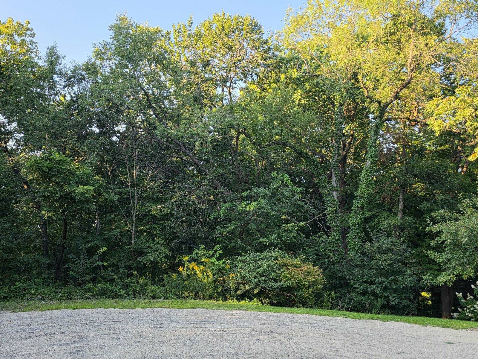 Property Photo:  5 Hillside Court  IL 61036 
