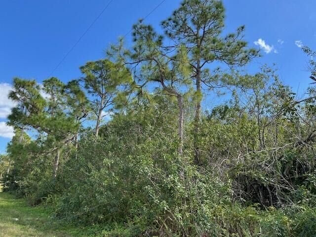 Property Photo: 17992 94th Street N FL 33470