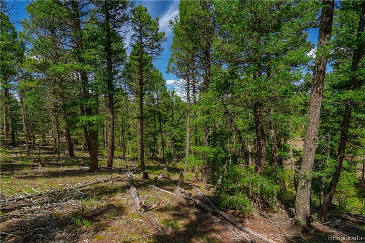 Property Photo: 384 Insmont Lane CO 80816