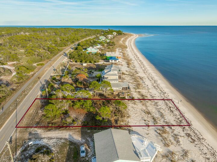 Property Photo:  1187 Alligator Drive  FL 32346 