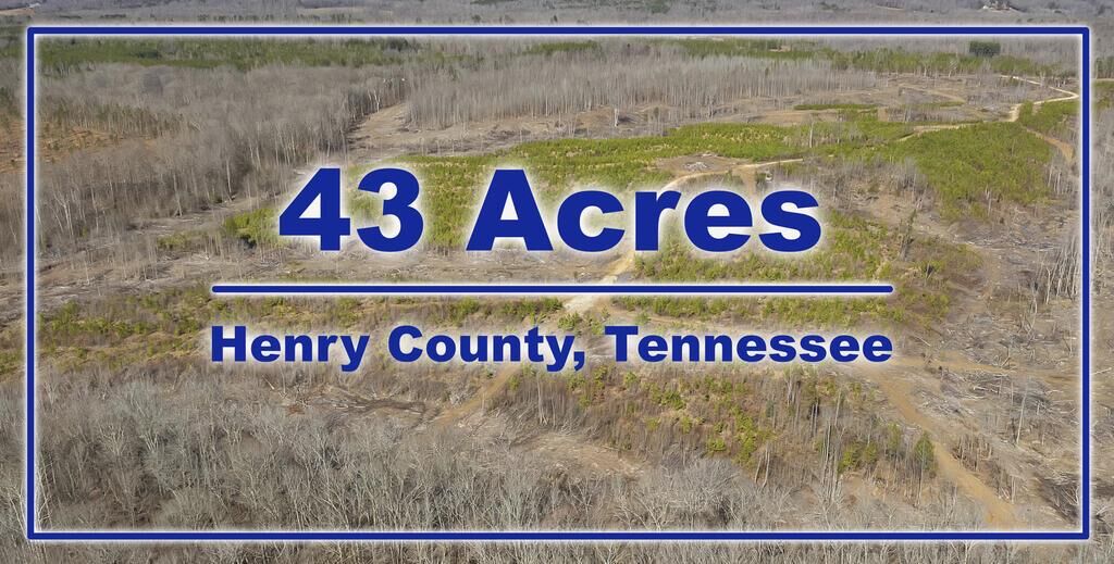 Property Photo: 05 Haglersville Rdparcel 5 TN 38236