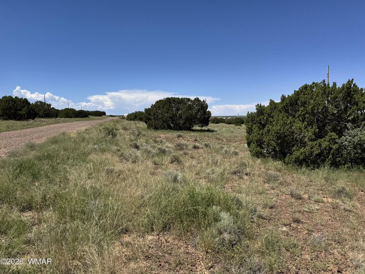 Property Photo: 119 County Road 5106 AZ 85924