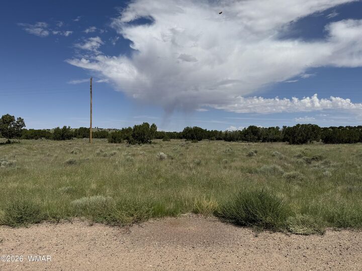 Property Photo:  31 County Road 5203  AZ 85924 