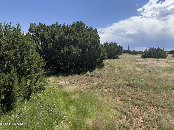 Property Photo:  20 County Road 5203 20  AZ 85924 