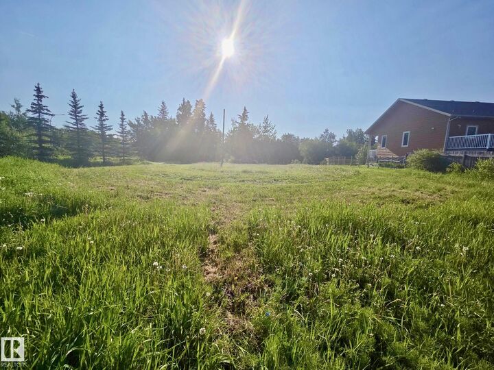 Property Photo:  433 Swedberg Street  AB T0C 2V0 
