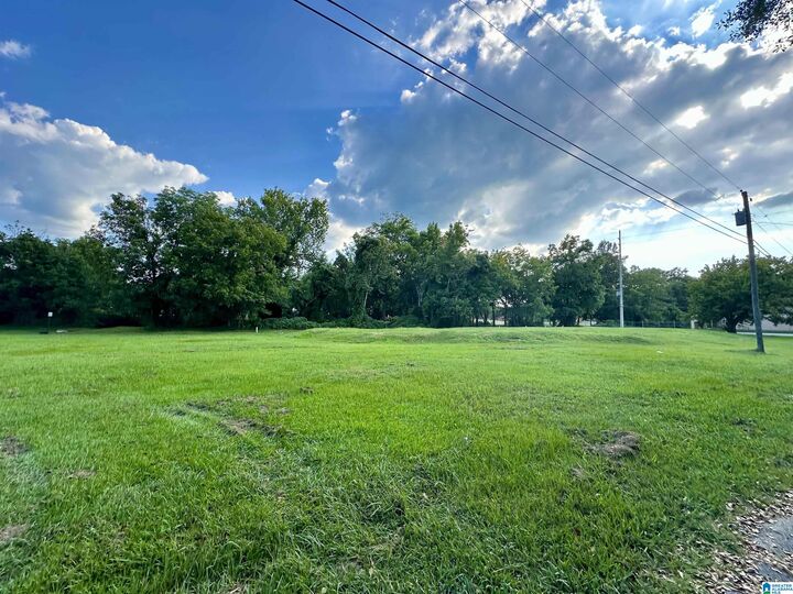 Property Photo: 620 College Street 0 AL 36265