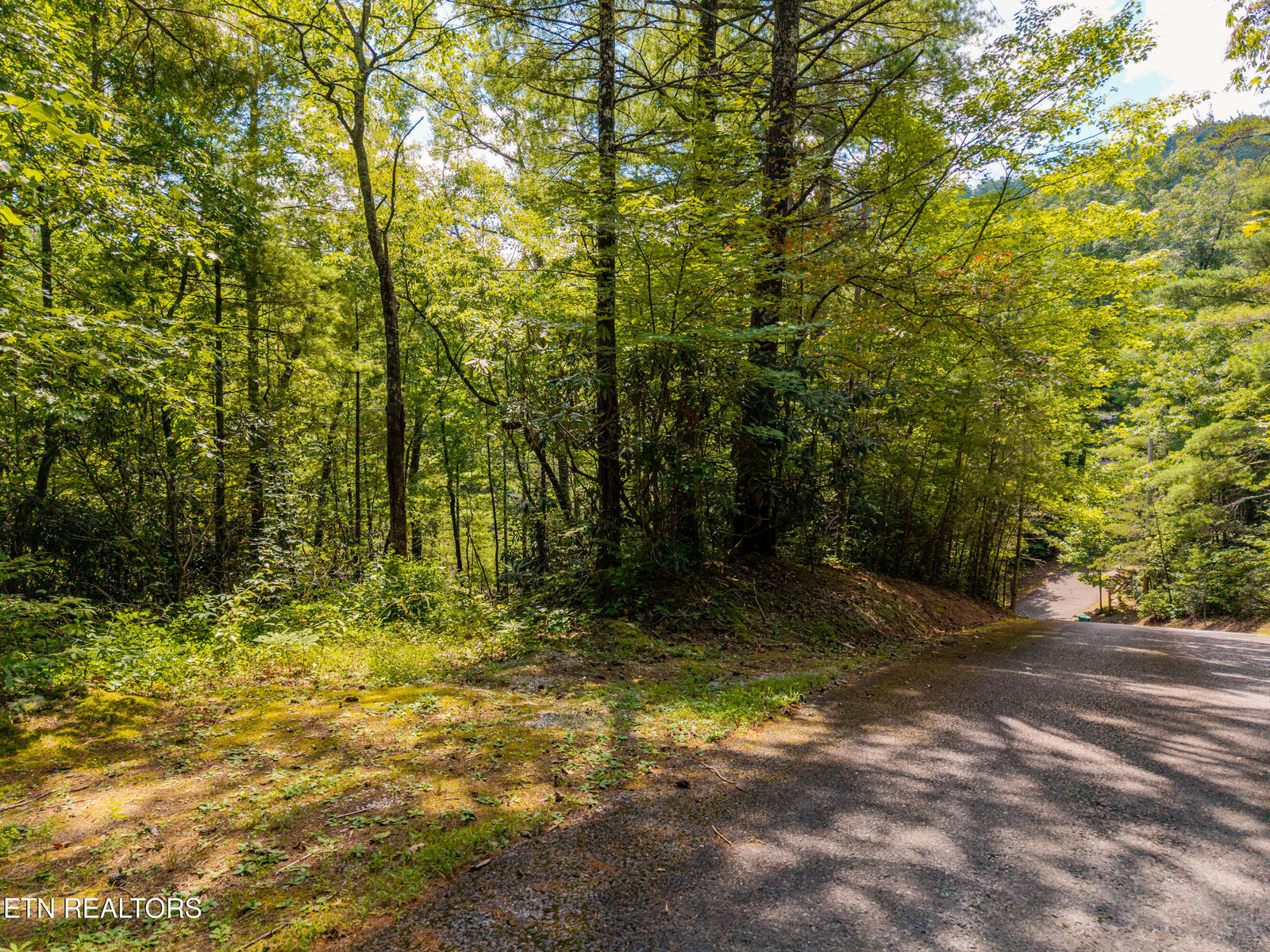 Property Photo:  267 Cobblestone Way  TN 37882 