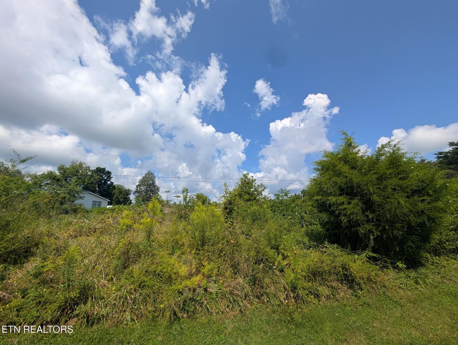 Property Photo:  O Camp Drive - Lot 3  TN 38572 