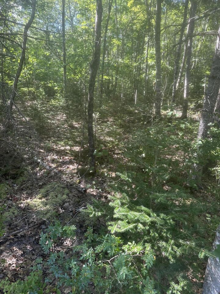 Property Photo: Lot 5 W Side Unionville Road ME 04680