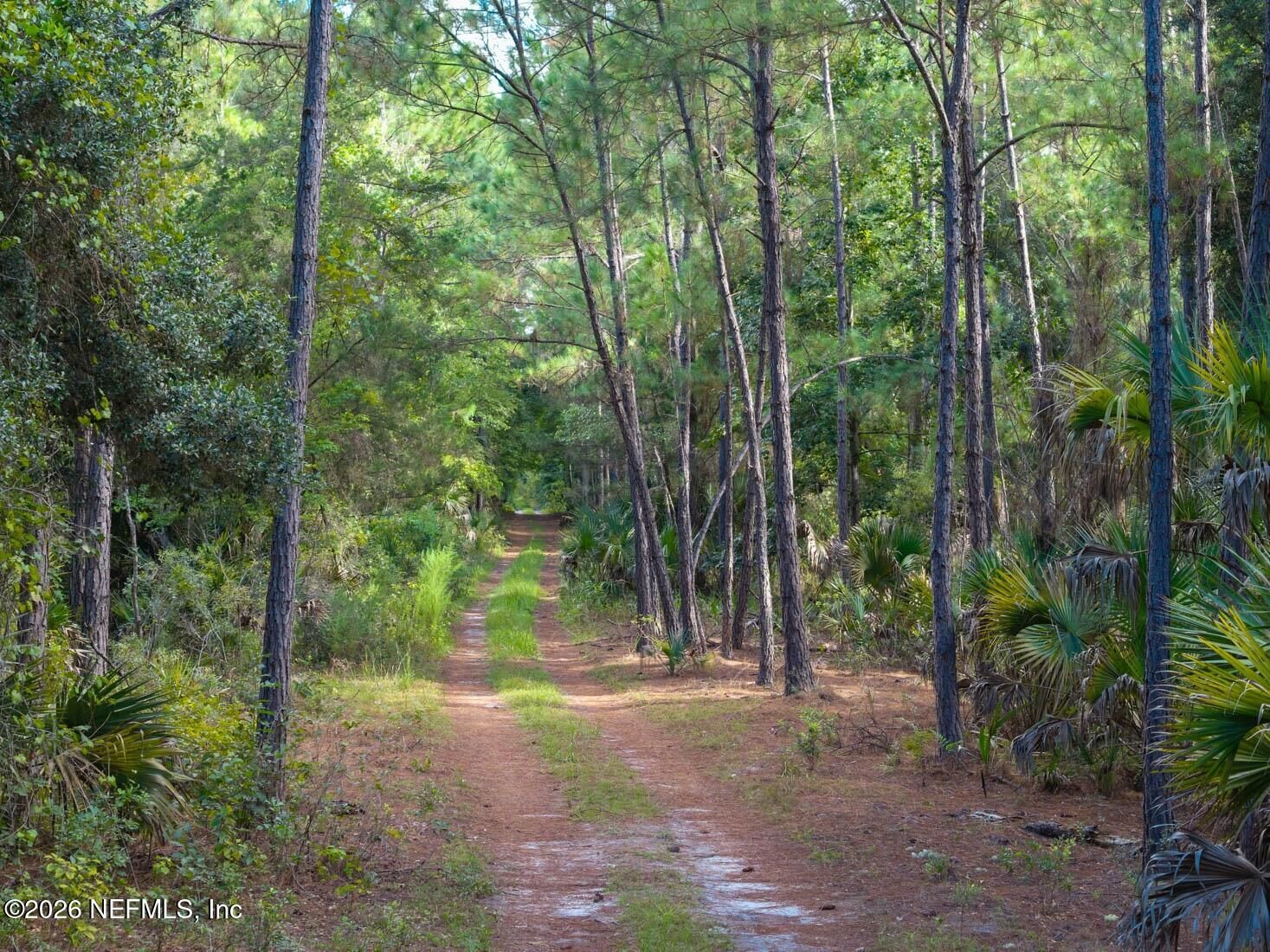 Property Photo:  402 Siesta Drive  FL 32139 