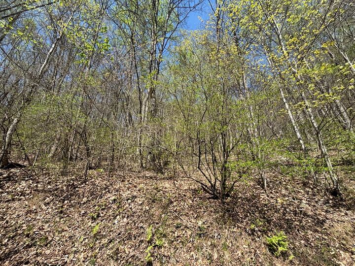 Property Photo:  Lot 4 Outlook Road  NC 28906 