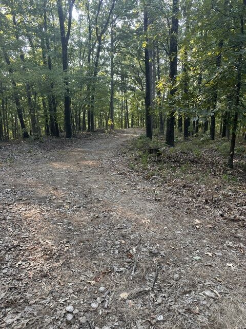 Property Photo: Tbd Windsong Lane AR 72631