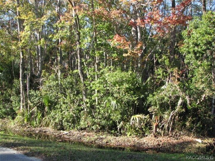 Property Photo:  935 NE 5th Avenue  FL 34428 