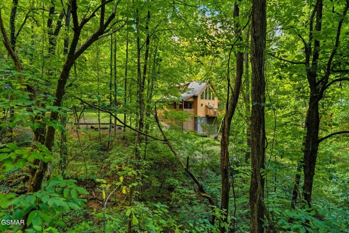 Property Photo:  3163 Sourwood Way  TN 37862 