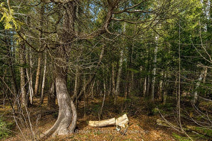 Property Photo:  Lot 116 Iroquois Crescent  ON L9M 0C6 