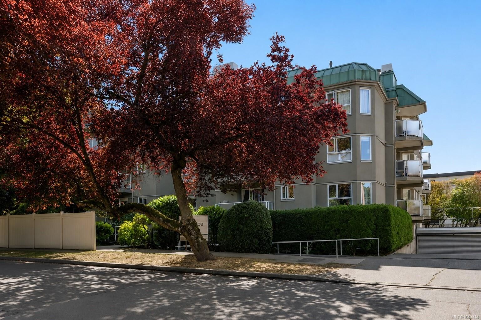 Property Photo:  2520 Wark St #212  BC V8T 5G6 