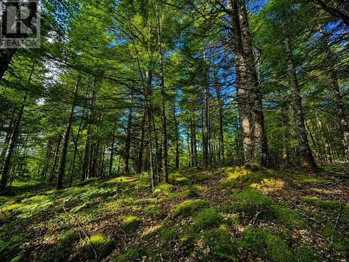 Property Photo:  Portion Of Pid 60462785 Berner Lane  NS B4V 9J1 