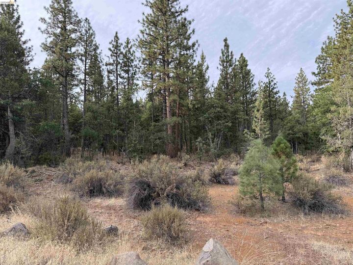 Property Photo: 00000 Little Vallley CA 96056