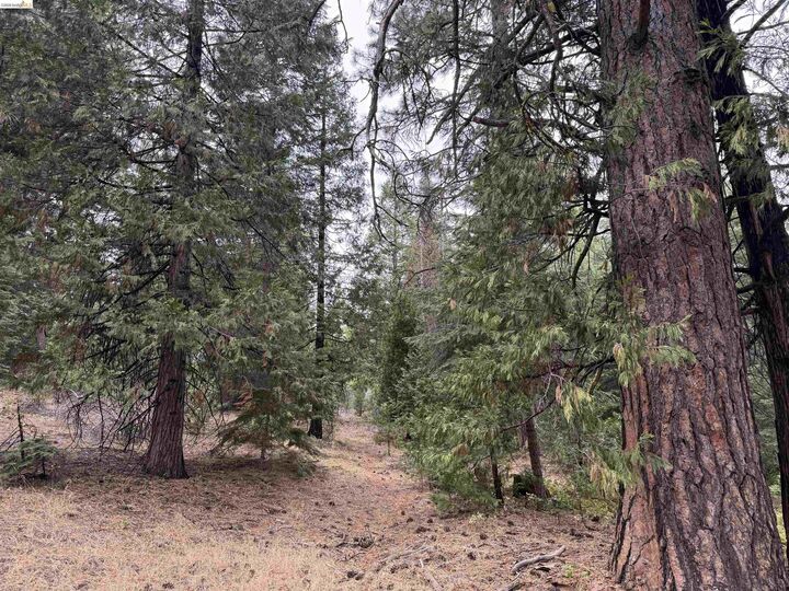 Property Photo:  00000 Old Toll Rd  CA 96068 