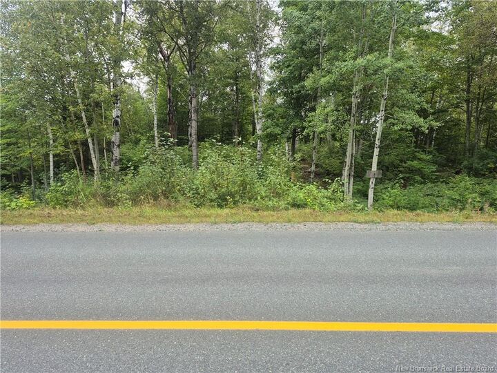 Property Photo:  2.6 Acres Nicholas Denys  NB E2A 3Y4 