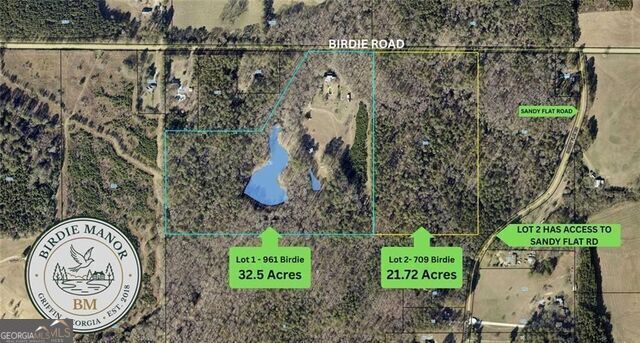 Property Photo: 961 Birdie Road GA 30223
