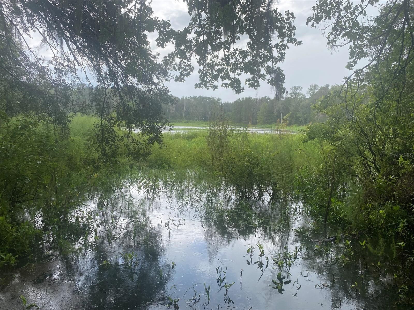 Property Photo:  2851 SE 24th Place  FL 32641 