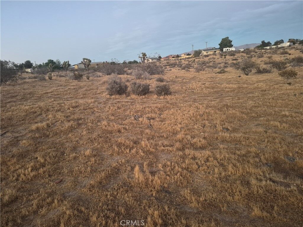 Property Photo: 0 Itoya Vista CA 92308