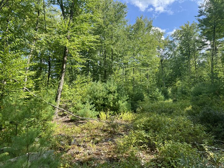 Property Photo:  0 Old County Road  ME 04002 